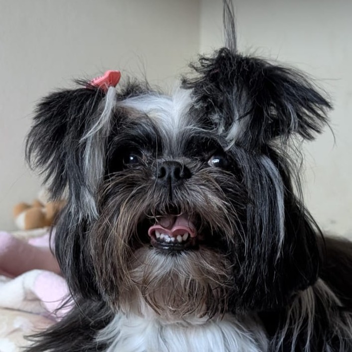 Maggie